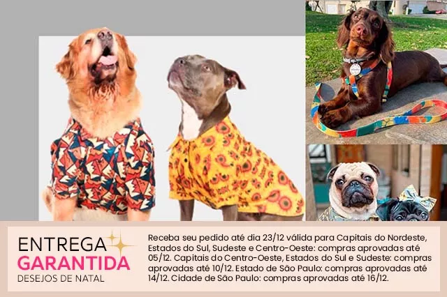 Bezt Dog, Western Pet & São Pet