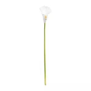 Copo De Leite Decorativo<BR>- Branco<BR>- 80cm