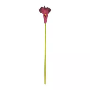 Copo De Leite Decorativo<BR>- Roxo<BR>- 80cm