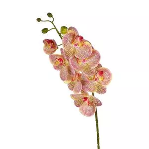 Orquídea Artificial<BR>- Amarela & Rosa Escuro<BR>- 74cm<BR>- Grillo