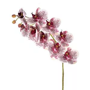 Orquídea Artificial<BR>- Branca & Bordô<BR>- 76cm<BR>- Grillo