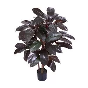 Planta Cordiline<BR>- Verde Escuro & Preta<BR>- 100cm<BR>- Grillo