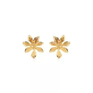 Par De Brincos Banhado A Ouro<BR>- Dourado<BR>- 2x2cm<BR>- Anna Pimentel