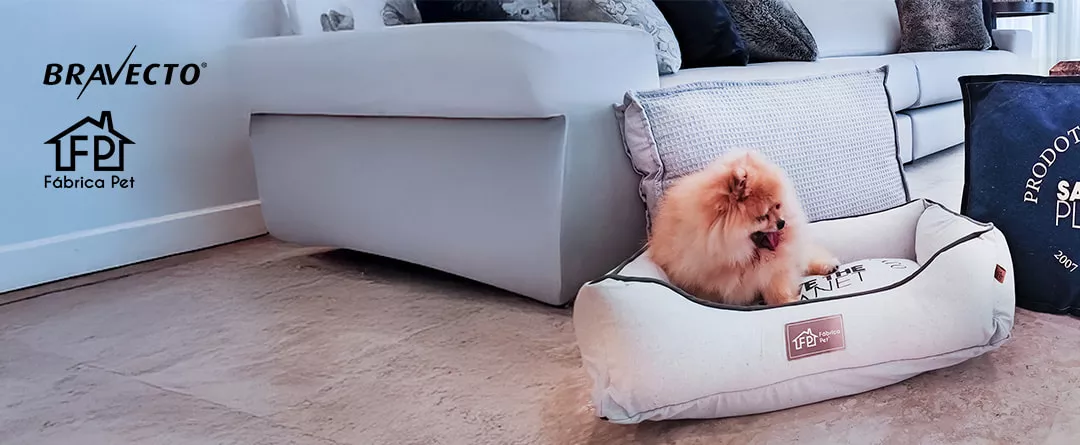 Bravecto & Fabrica Pet