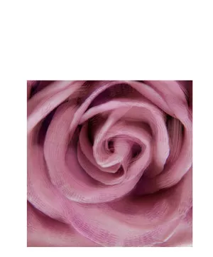 Painel Decorativo - Rosa - 40x40x1,8cm